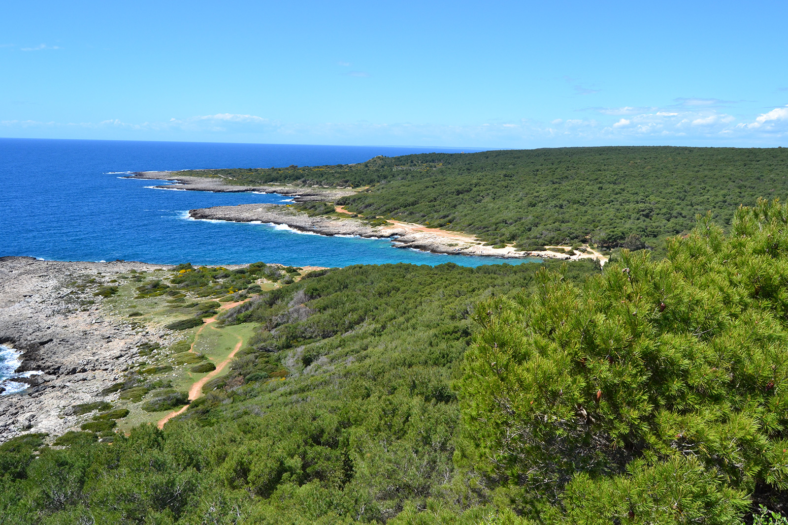 Nardò, panorama del Parco Naturale di Porto Selvaggio